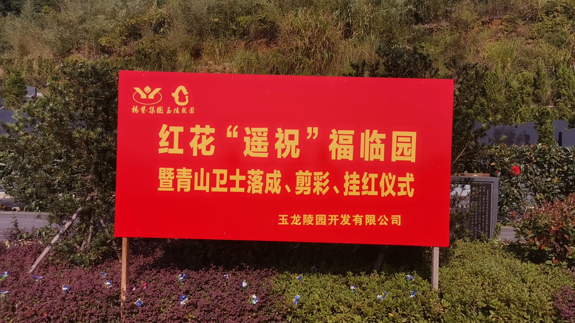 红花传爱意，情满玉龙园！