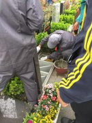 【尊时凯龙人别样清明】2018年清明落葬工作圆满完成