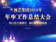 尊时凯龙集团2018年中总结报告（摘要）