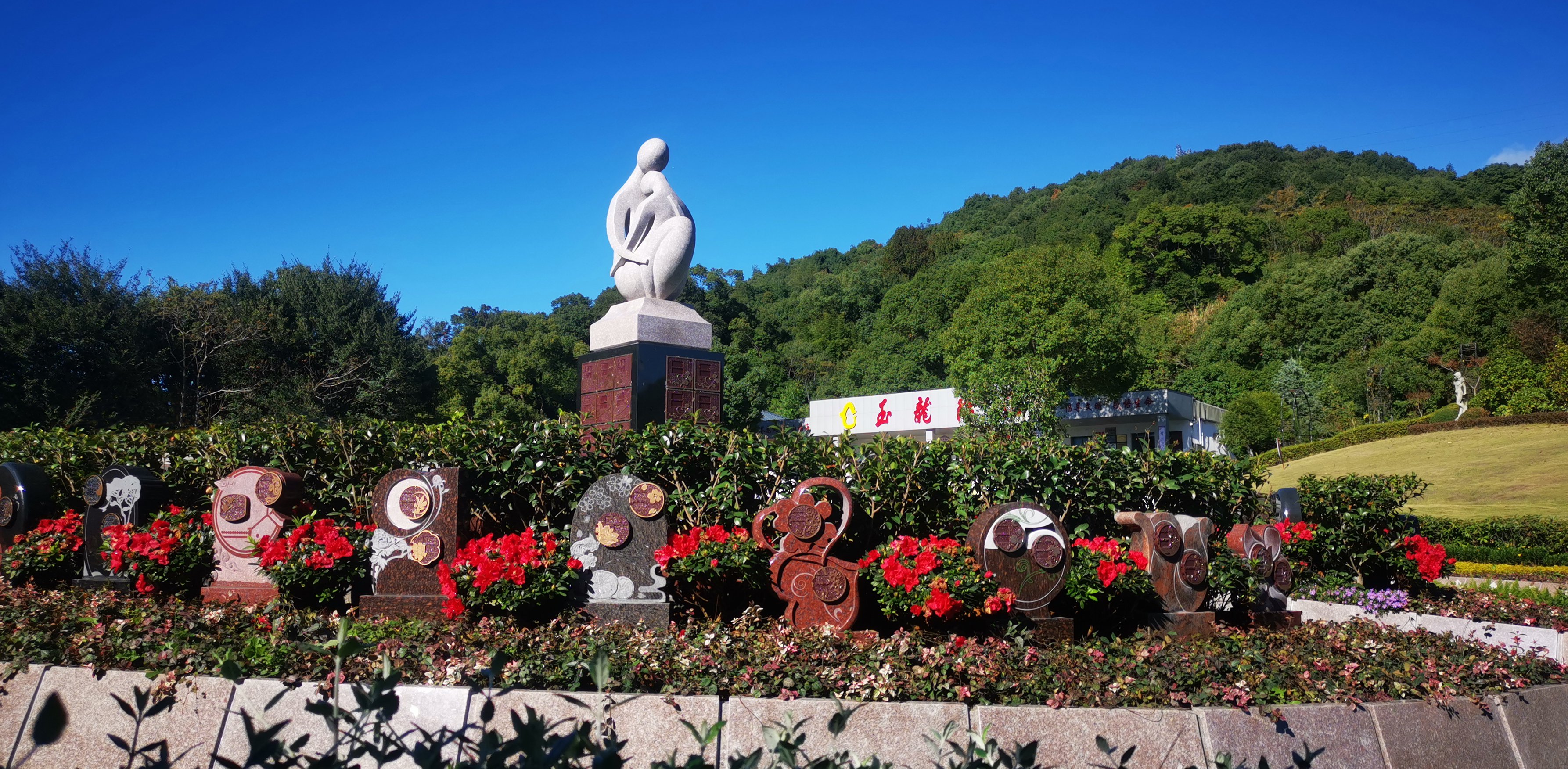 未来，生态葬或将成为主流