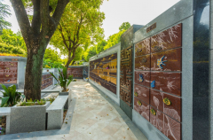 绿色殡葬新风尚：探索葬式多样化的创新之路