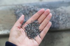 石语新章：仿真保护箱中的生态启示录