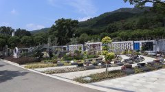 生态葬，让生命在绿意中永恒